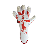 Patriot England
