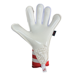 Patriot England